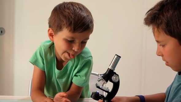 Older Brother Gives the Younger a Microscope