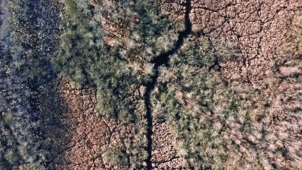 Aerial view of swamps and lake in Poland