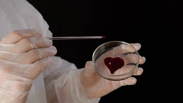 Blood Stain in Hear Shape on Medical Glass in Hands Bioengineer at Chemical Laboratory