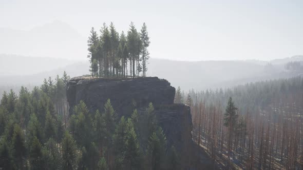 Misty Mountain Forest Landscape in the Morning