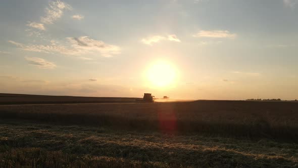  Combine Harvester Working In A Wheat Field At Sunset. Organic Farming.