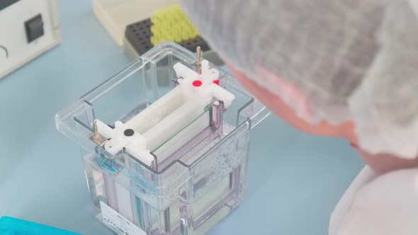 Work on Samples of Substances is Carried Out in the Laboratory alt