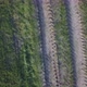 Endless Rows of Crop on a Farmland Aerial Drone Shot - VideoHive Item for Sale