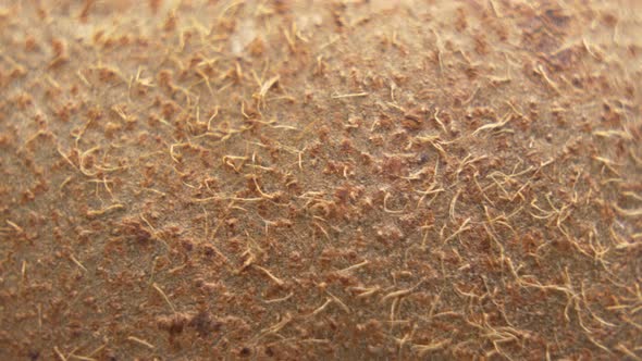 Macro Shot of Kiwifruit. Thin, Hair-like, Light Brown Skin