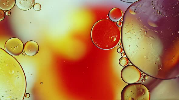 Abstract Colorful Food Oil Drops Bubbles 246