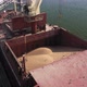 Loading Grain Onto a Cargo Ship for Sea Transport Using a Conveyor Loader - VideoHive Item for Sale