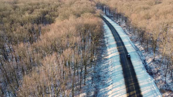 Big Forest Landscape And A Lonely Road