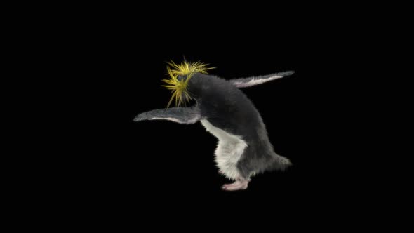 Penguin Dancing HD