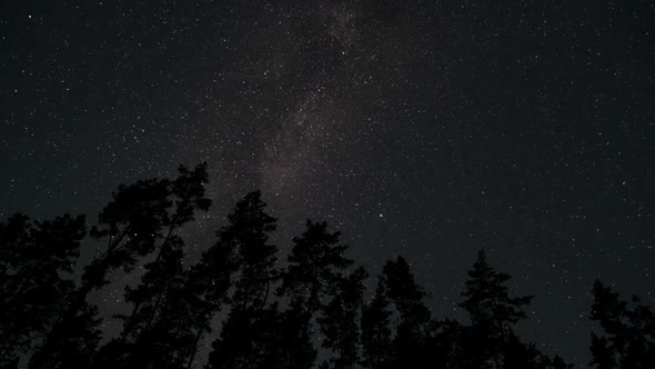 Timelapse of The Milky Way Galaxy Moves Above the Silhouettes of Trees