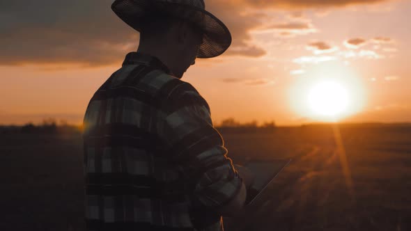 Young Farmer Standing in a Wheat Field and Looking at Tablet