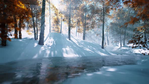 Winter River looped HD