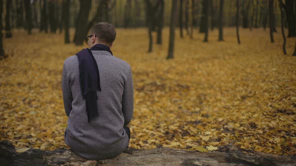 Guy Sitting in Park Inspired by Beautiful Nature and Thinking About Past Life