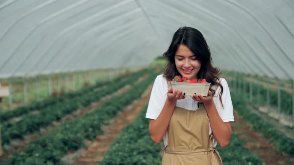 Charming Woman Enjoying Fresh Juicy Strawberries