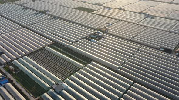 Countryside and vegetable greenhouses in the sunset