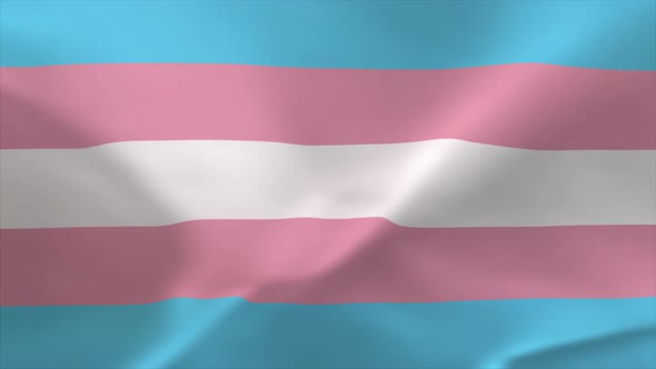 Transgender Waving Flag Animation 4K Moving Wallpaper Background