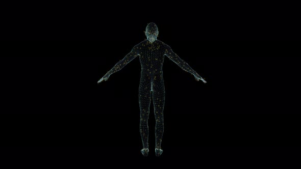 3D Seamless Loop Male Hologram Wireframe