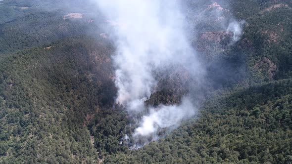 Aerial view of Wildfire on mountain forest, Divcibare, Serbia