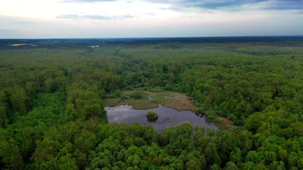 Wild forest lake. Aerial view of lake in the middle of the forest