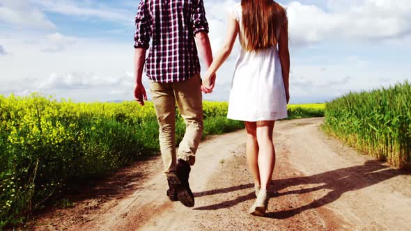 Romantic couple holding hands while walking in field