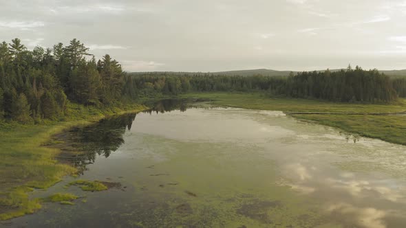 Flying over Shirley bog green algae Summer sunset