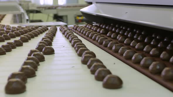 Laying Out the Formed Chocolates on the Conveyor in the Confectionery Shop
