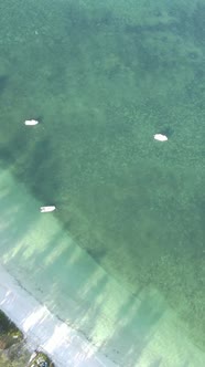 Tanzania  Vertical Video of the Ocean Near the Coast of Zanzibar Slow Motion