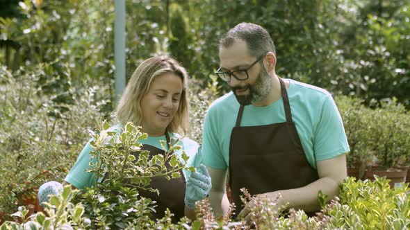 Two Happy Greenhouse Employees Discussing Houseplants