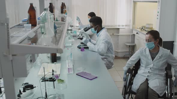 Female Scientist in Wheelchair Working with Colleagues in Lab