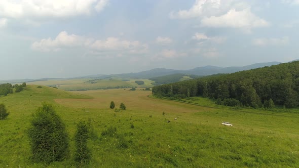 Aerial View at Summer Landscape