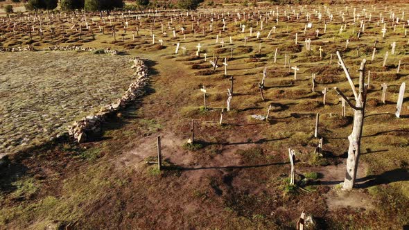 Sad Hill Cemetery in Spain. Aerial View