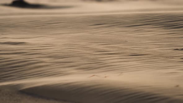 Wind blows over a sand rippled surface, carrying away sand grains. Desert area, sand storm