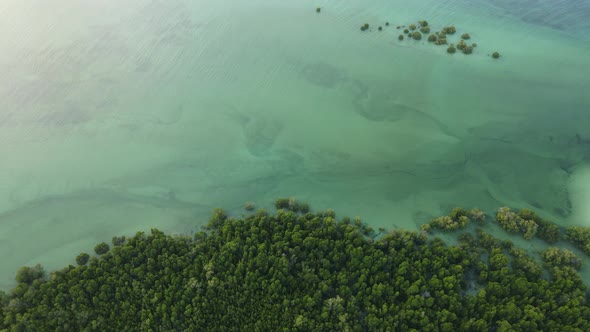 Indian Ocean Near the Coast of Zanzibar Island Tanzania Slow Motion