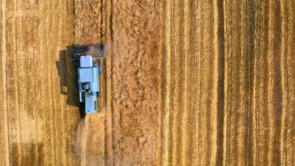 Top down view of blue harvester working on field, Poland