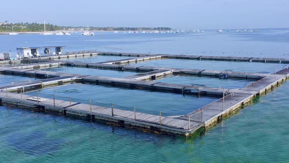 Marine pens holding trained dolphins for tourism industry, Punta Cana; drone