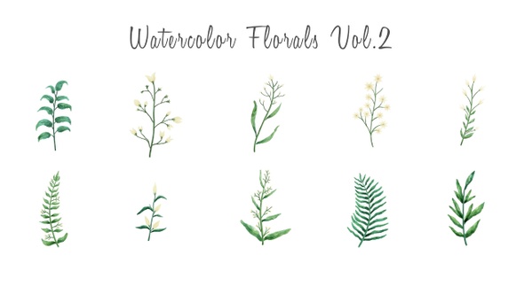 Watercolor floral elements Vol.2
