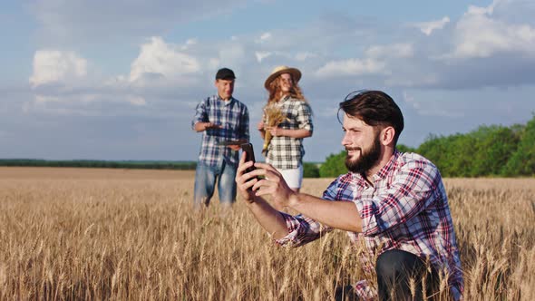 In a Large Wheat Field Concept of Family Business