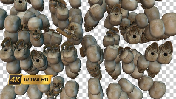 Skull Transition 4 alt