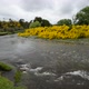 Eglinton River Is Bending Over Grassland Valley Under Depressing Clouds - VideoHive Item for Sale