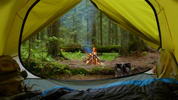 A View From a Tourist Tent to a Bonfire and a Magical Forest