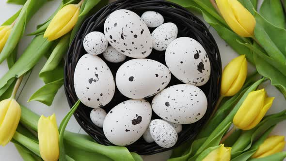 Beautiful Yellow Tulips with Dotted Quail and Chicken Eggs in Nest on White