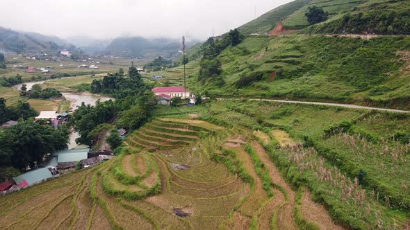 A Countryside Village with Harvested Rice Plantation Road and Lush Greenery