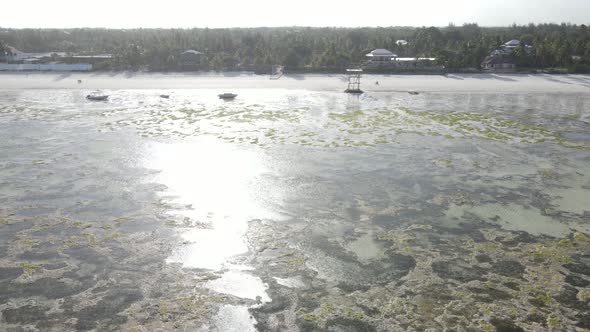 Low Tide in the Ocean Near the Coast of Zanzibar Island Tanzania