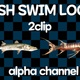 Fish 2 Clip Loop Alpha - VideoHive Item for Sale