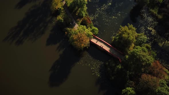 Public park romantic small walking bridge over pond located at green quiet scenery trees hanging ove