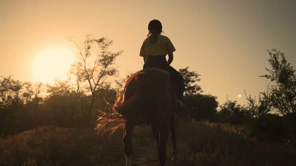 Young girl rides a horse on a sunset background. Slow motion