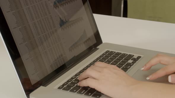 Woman Working On Laptop