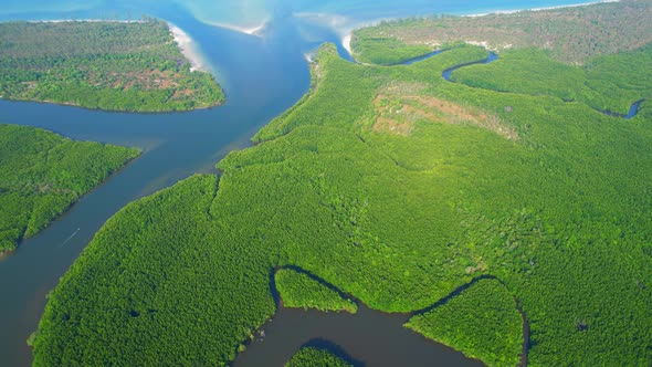 Top view of winding river in tropical mangrove green tree forest in khao jom pa