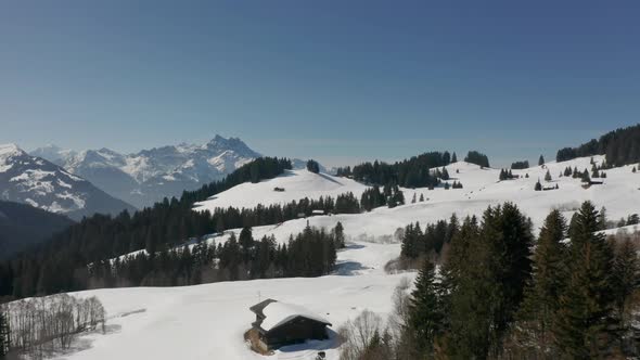 Drone flying over green pine trees and revealing a beautiful ski resort