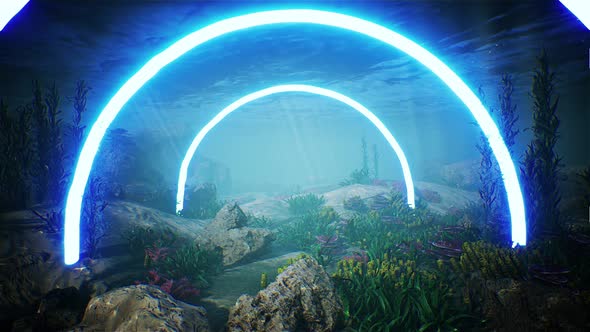 Blue Circle Led Light Underwater Aquarium 4K