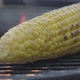 Macro Shot Corn With Flames On A Grill - VideoHive Item for Sale